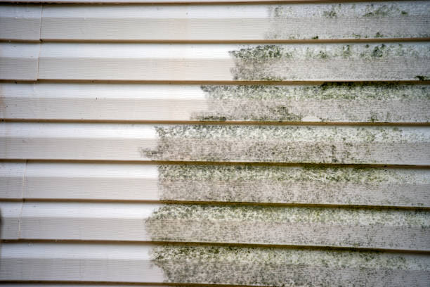 Best Yard Waste Removal  in Powells Crossroads, TN